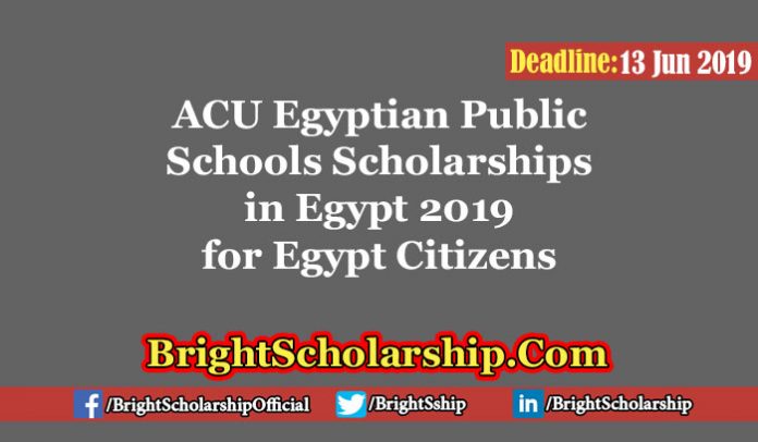 ACU Egyptian Public Schools Scholarships in Egypt 2019
