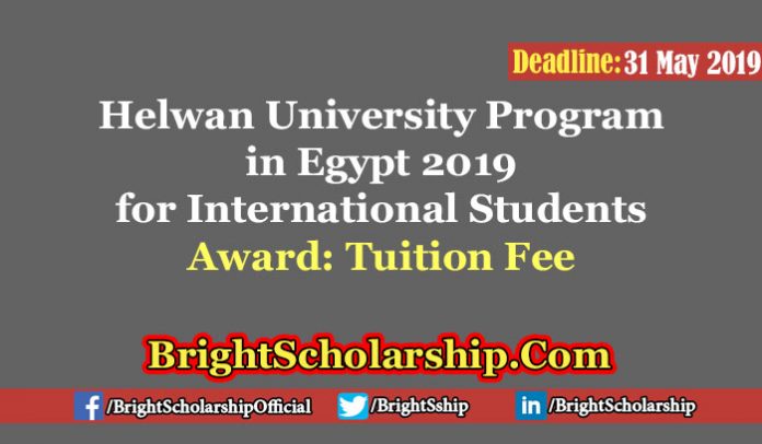 Helwan University Program in Egypt 2019