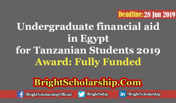 Undergraduate financial aid in Egypt for Tanzanian Students 2019