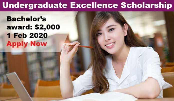 International Undergraduate Academic Excellence Scholarship 2020 in USA