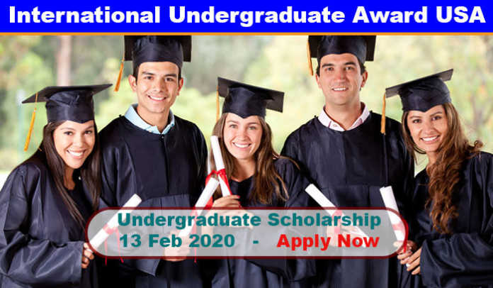 International Undergraduate Excellence Award 2020 in UK