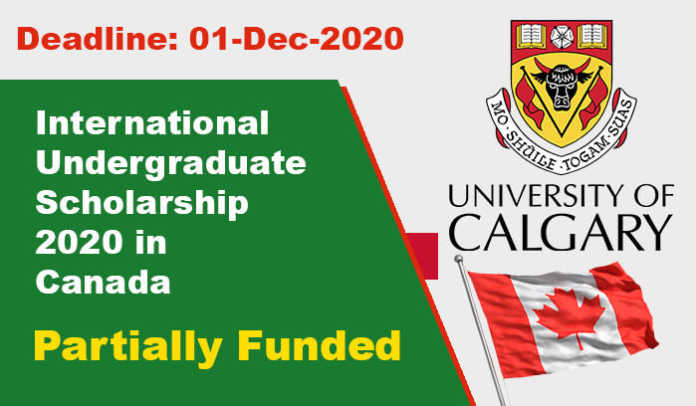 International Undergraduate Scholarship 2020 in Canada
