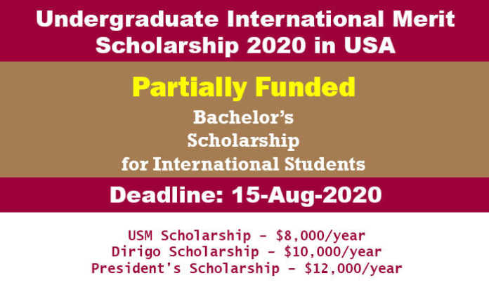Undergraduate International Merit Scholarship 2020 in USA