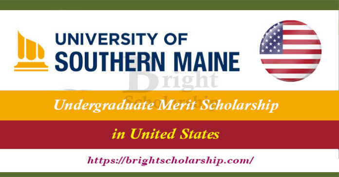 Undergraduate Merit Scholarship 2023-24 in USA (Funded)