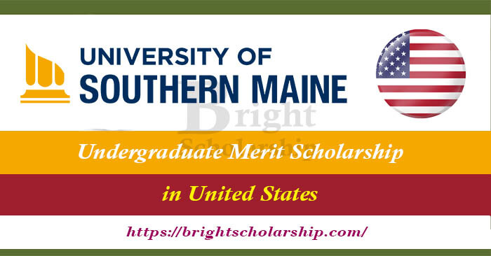 Undergraduate Merit Scholarship 2023-24 In USA (Funded)