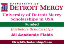 University of Detroit Mercy Scholarships 2022 in USA (Funded)