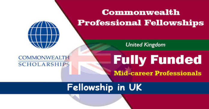 Commonwealth Professional Fellowship 2024 for Mid-career Professionals