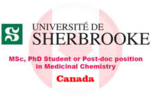 MSc, PhD student or Post-doc position in Medicinal Chemistry