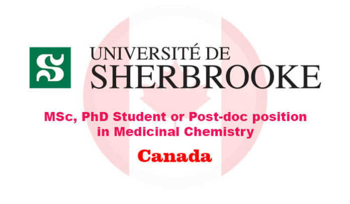MSc, PhD student or Post-doc position in Medicinal Chemistry