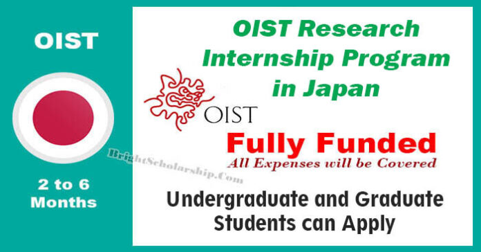 OIST Research Internship Program 2023-24 in Japan (Fully Funded)