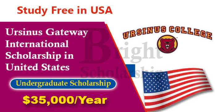 Ursinus Gateway International Scholarship 2023 in United States (Funded)