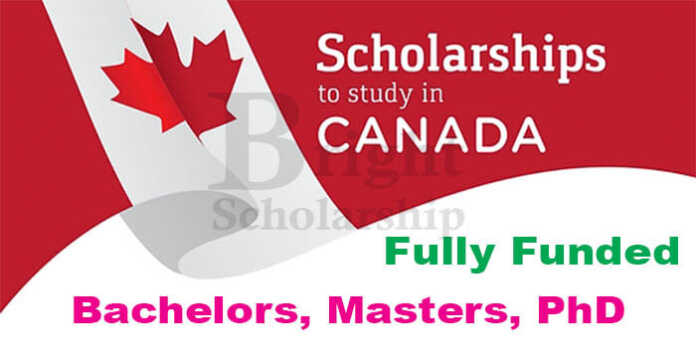 How to Apply for Scholarships in Canada for International Students