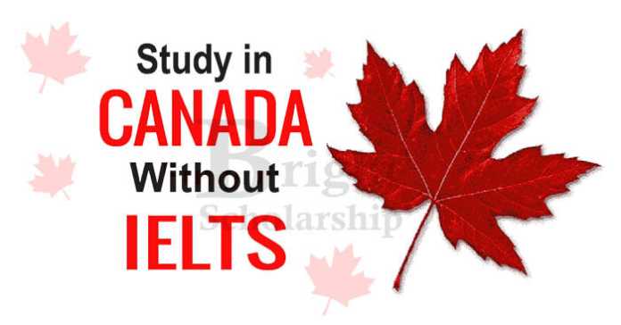 Study in Canada without IELTS 2023-24 - Fully Funded Canadian Scholarships