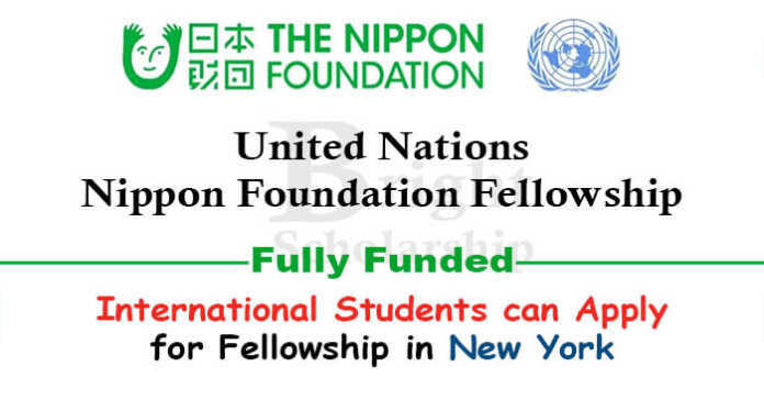 United Nations Nippon Foundation Fellowship 2023-24 (Fully Funded)