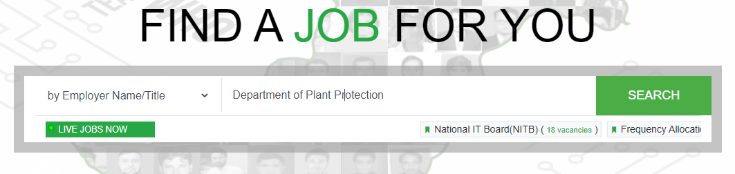 Ministry of National Food Security Jobs 2022 Apply Online