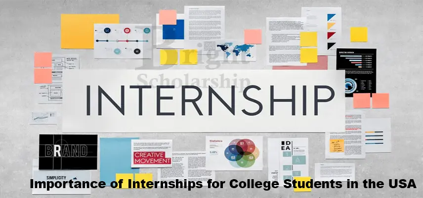 Importance of Internships for College Students in the USA