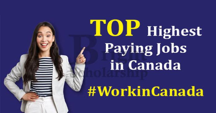 Top Highest Paying Jobs in Canada in 2023-24 | Work in Canada