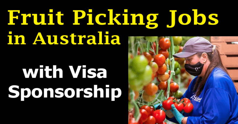 Fruit Picking Jobs in Australia 2024 with Visa Sponsorship