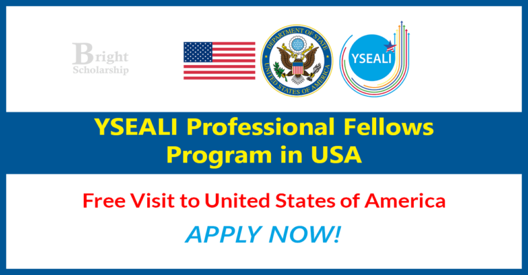 YSEALI Professional Fellows Program 2025 in USA (Fully Funded)