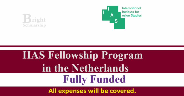 IIAS Asia in the World Fellowship 2026 in Netherlands (Fully Funded)