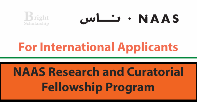 NAAS Research and Curatorial Fellowship 2025 (Funded)