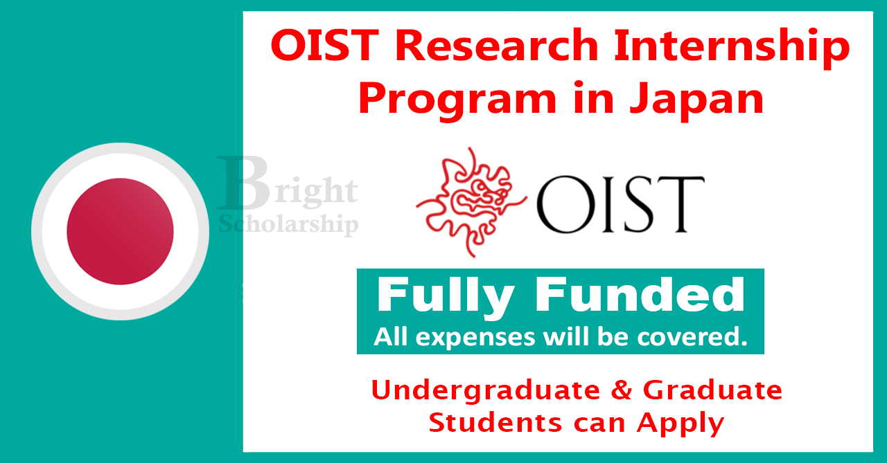 OIST Research Internship Program 2026 in Japan (Fully Funded) - Bright ...