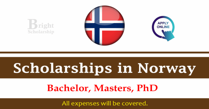 Best Scholarships in Norway 2026 (BS, MS, PhD)