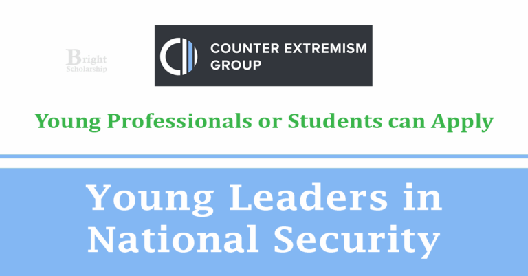 Young Leaders in National Security Fellowship 2026 in UK (Funded)