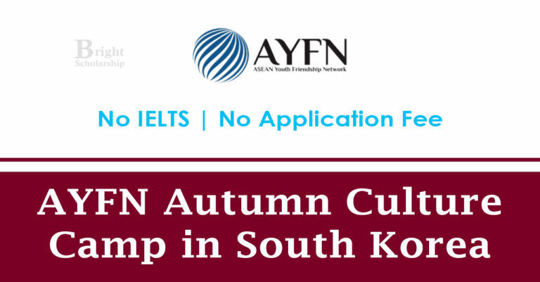 AYFN Autumn Culture Camp 2026 in South Korea (Fully Funded)