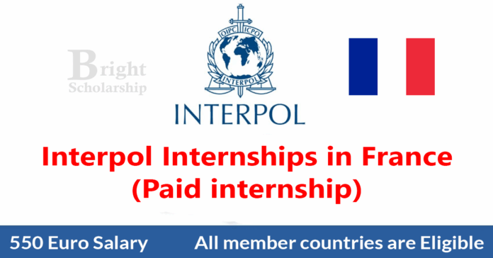 Interpol Internships 2026 in France (Paid internship)