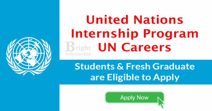 United Nations Internship Program 2026 (Paid) | UN Careers