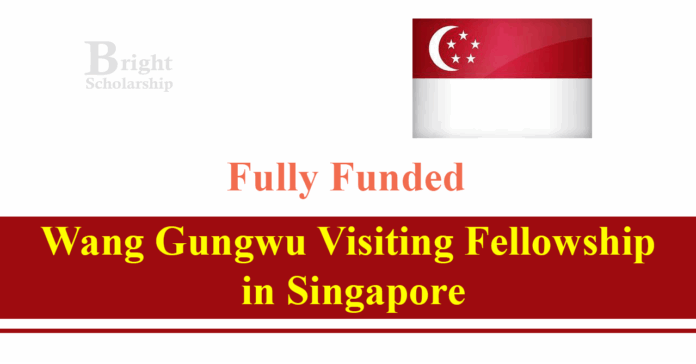 Wang Gungwu Visiting Fellowship 2026 in Singapore (Fully Funded)