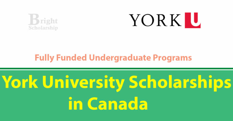York University Scholarships 2026 in Canada (Funded)