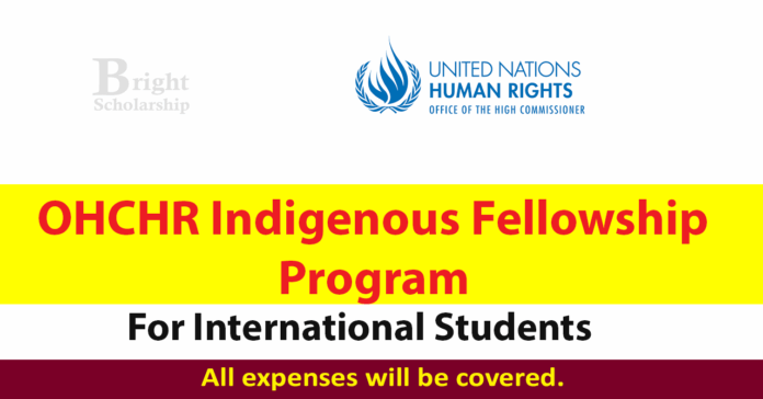 OHCHR Indigenous Fellowship 2027 in Switzerland (Fully Funded)