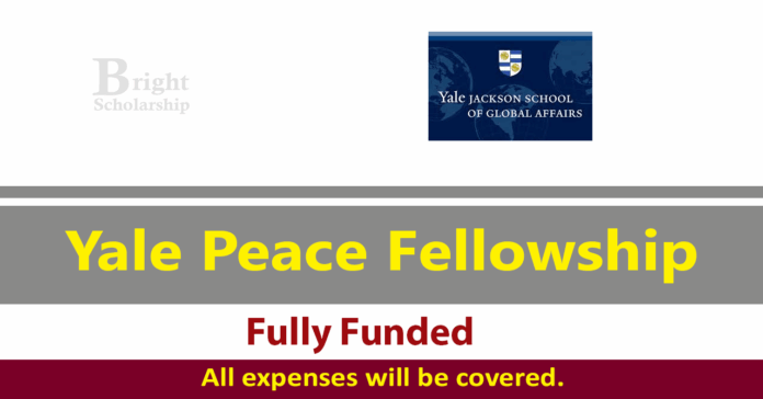 Yale Peace Fellowship 2027 in USA and UK (Fully Funded)