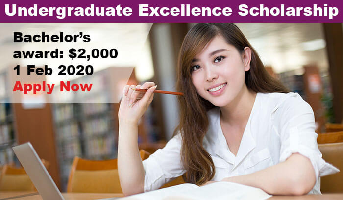International Undergraduate Academic Excellence Scholarship 2020 in USA