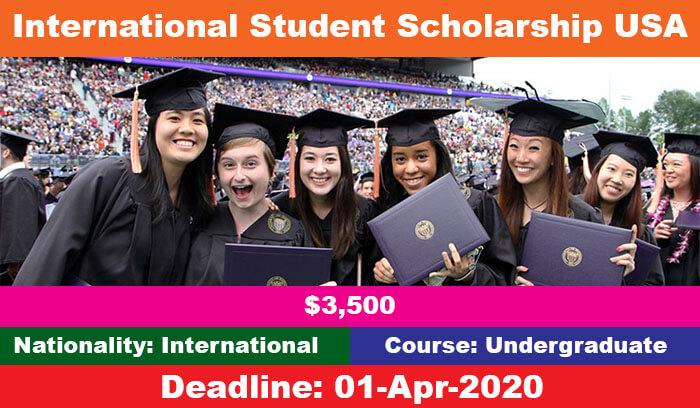 International Bachelor’s Scholarship 2020 in USA