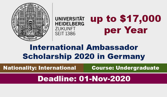 International Ambassador Undergraduate Scholarship 2020 in Germany