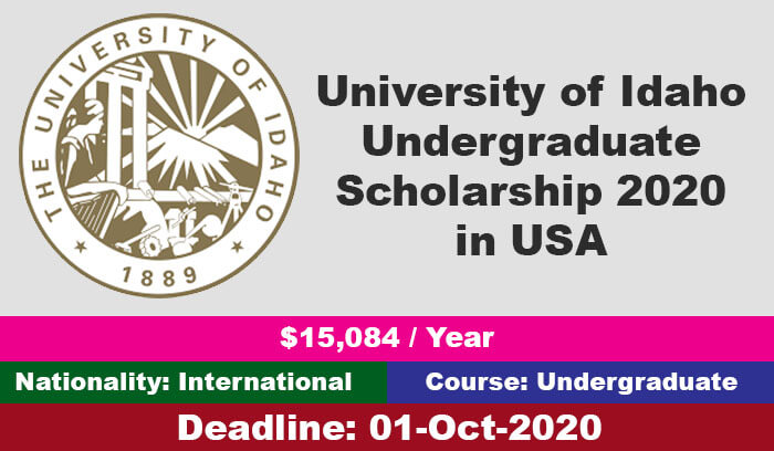 University of Idaho Undergraduate Scholarship 2020 in USA