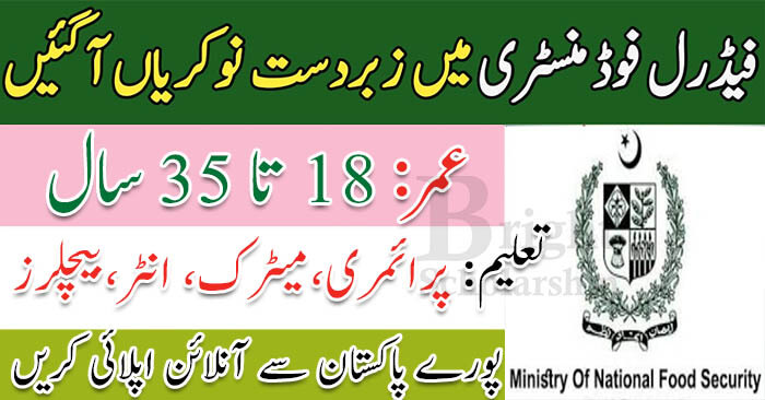 Ministry of National Food Security Jobs 2022 Online Apply | MNFSR Jobs 2022