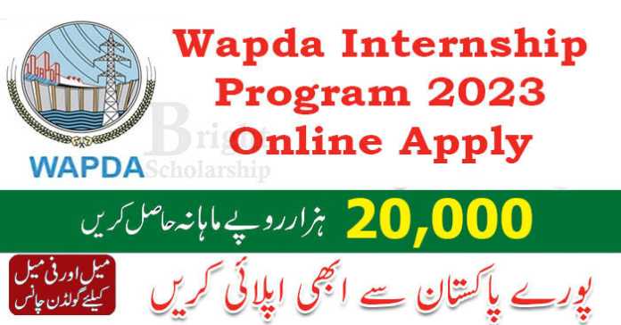 Wapda Internship Program 2023 Apply Online