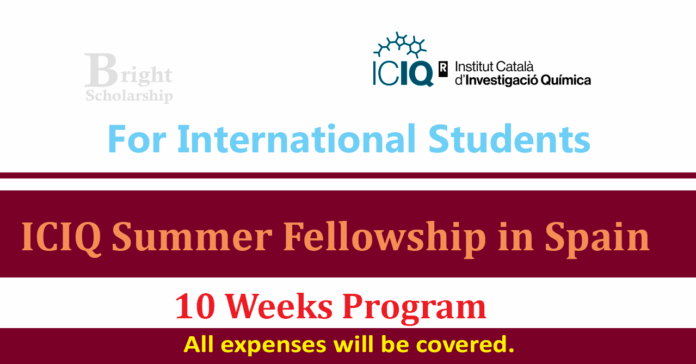 ICIQ Summer Fellowship Program 2026 in Spain (Stipend 2700 Euros) ICIQ Summer Fellowship Program 2026 in Spain (Stipend 2700 Euros)