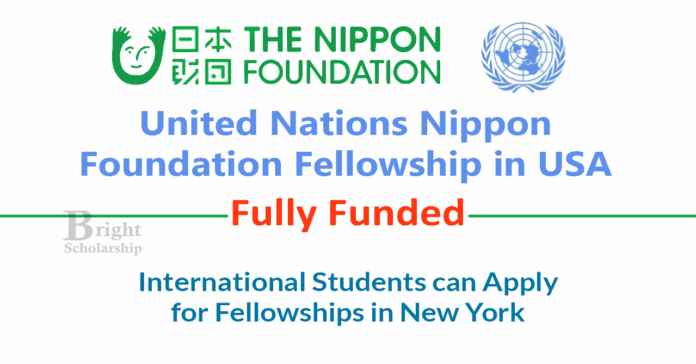 United Nations Nippon Foundation Fellowship 2027 in USA (Fully Funded)